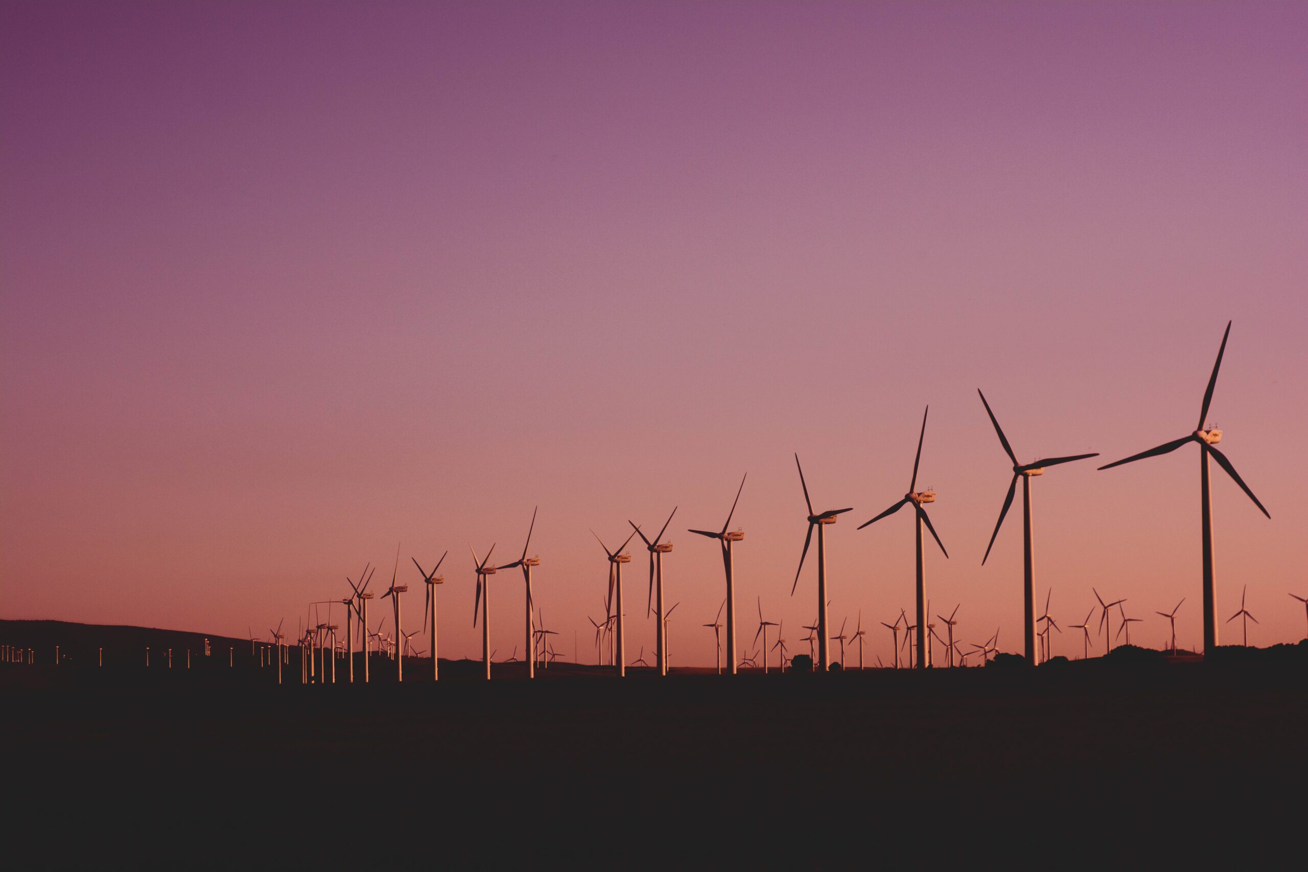 wind turbines at dawn