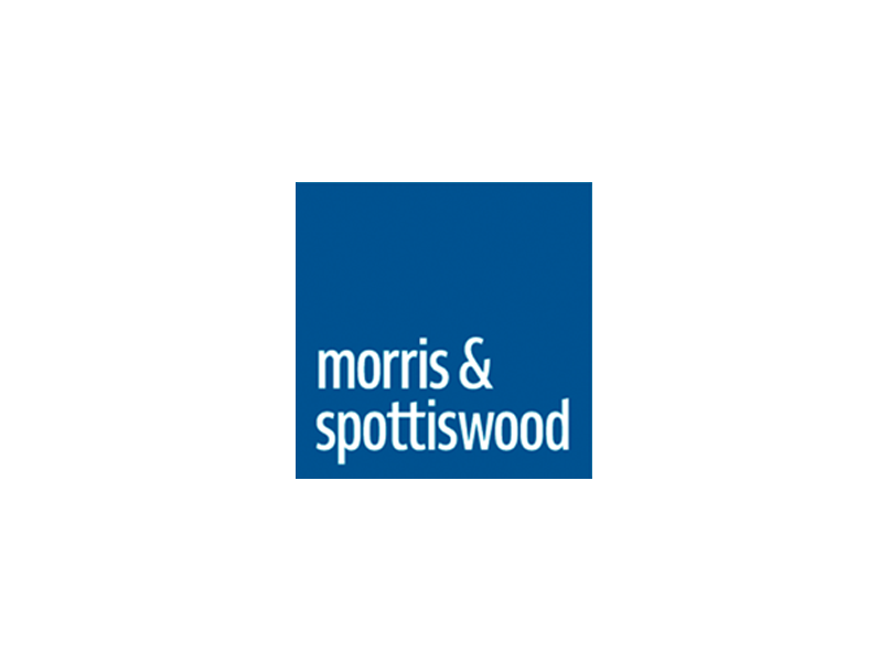 Morris&Spottiswood-Blue-Logo-Strategic-Resourcing-Mar2025-v3